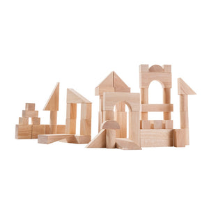 PlanToys - 50 Building Blocks extra large