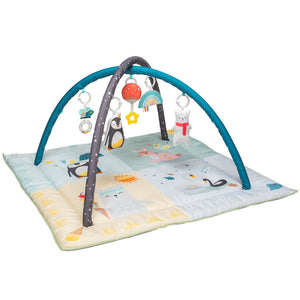 Taf Toys - North Pole 4 Season Gym