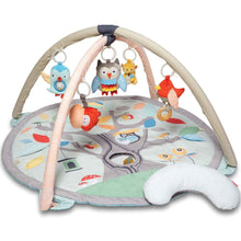 Ladda upp bild till gallerivisning, Skip Hop - Treetop Friends Babygym Pastel
