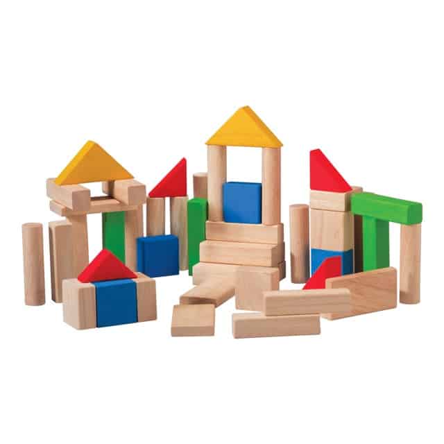 PlanToys - 50 Building Blocks